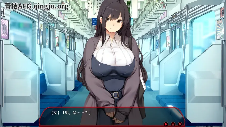 《满车率300%≒／満車率300% 3≒Append.1 鉄板ギャル御乗車ぱっち+DLC1》PC版体验报告